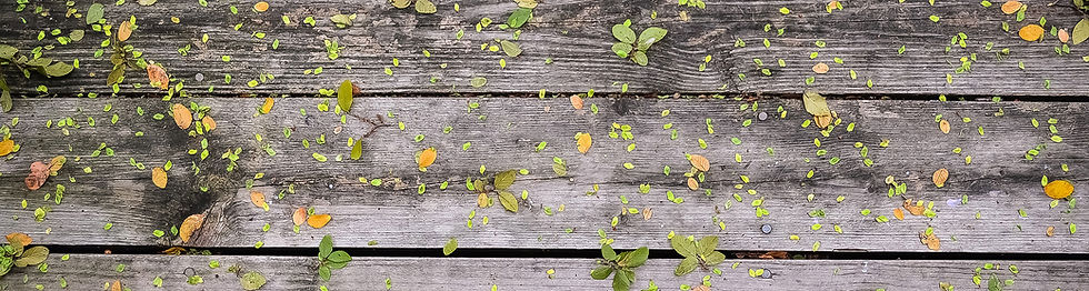 木材花