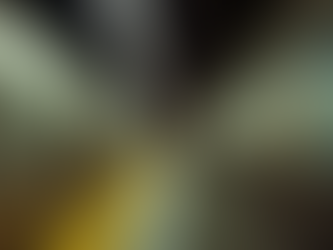 Our Children Are Not Experiments: A Call for Real Safety in NYC