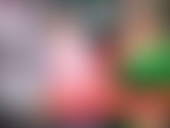 మోసాల రూపం..!