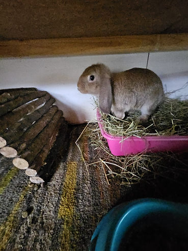 WhatsApp Image 2023-11-30 at 19.18.32.jpeg