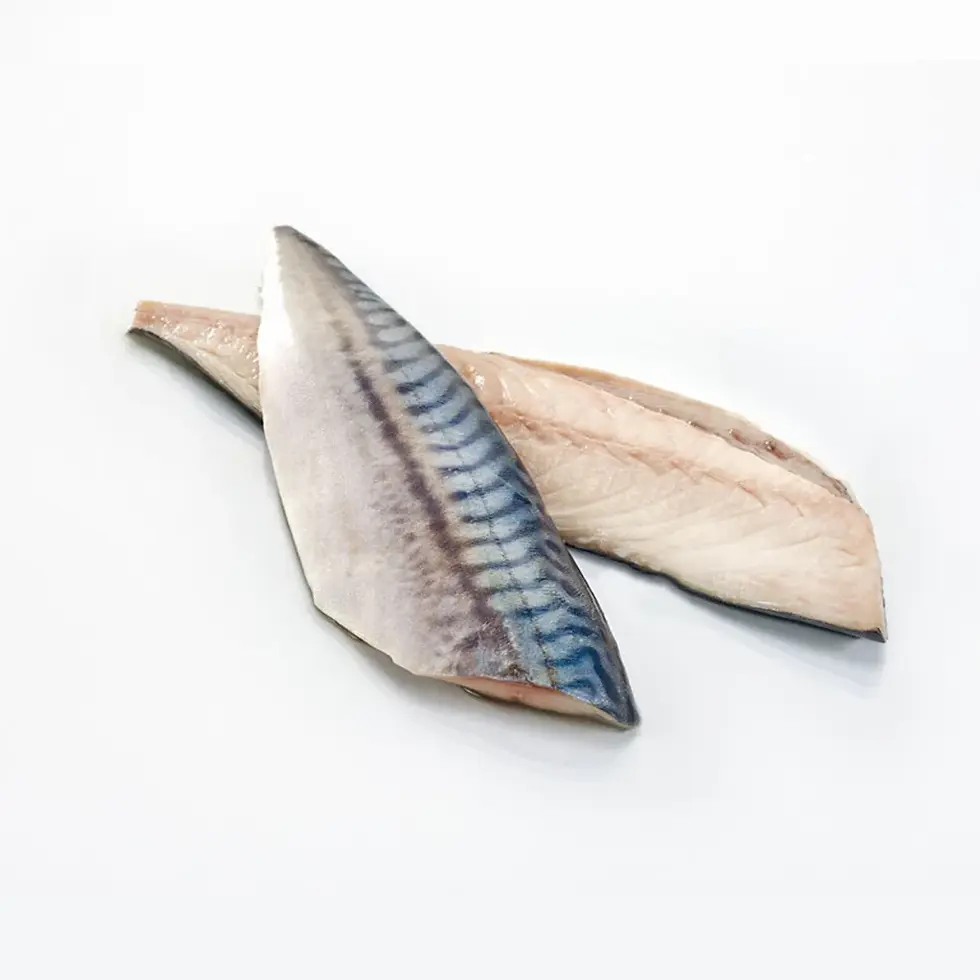 Frozen Mackerel Fillet