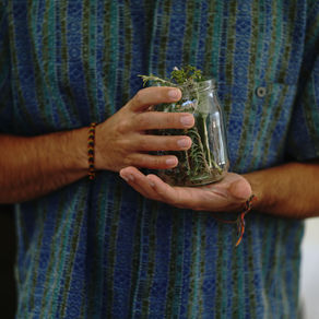 WILD HERBS DRINK