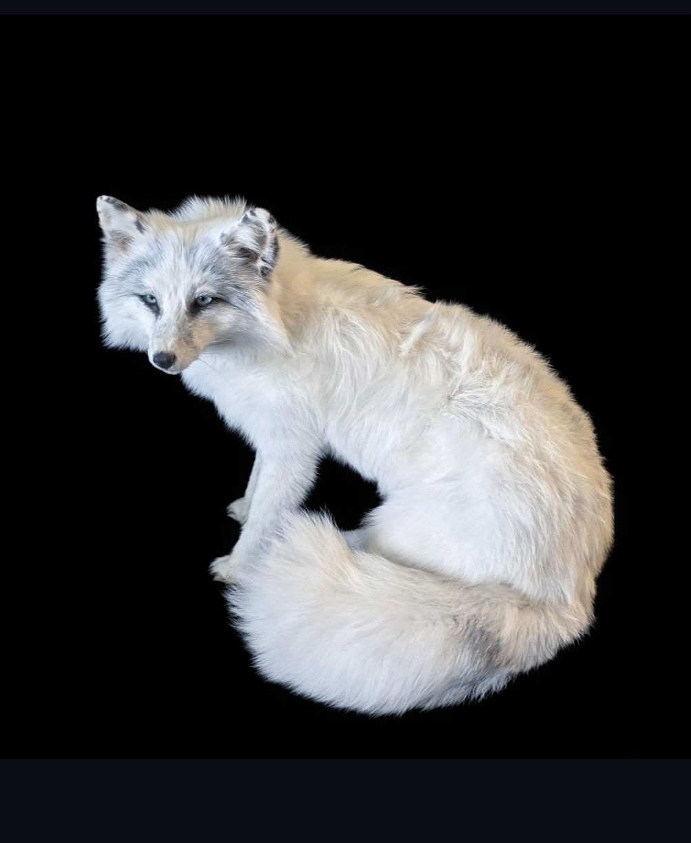 Marble white softmount