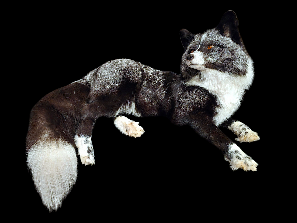 Thumbnail: Silver WM softmount 