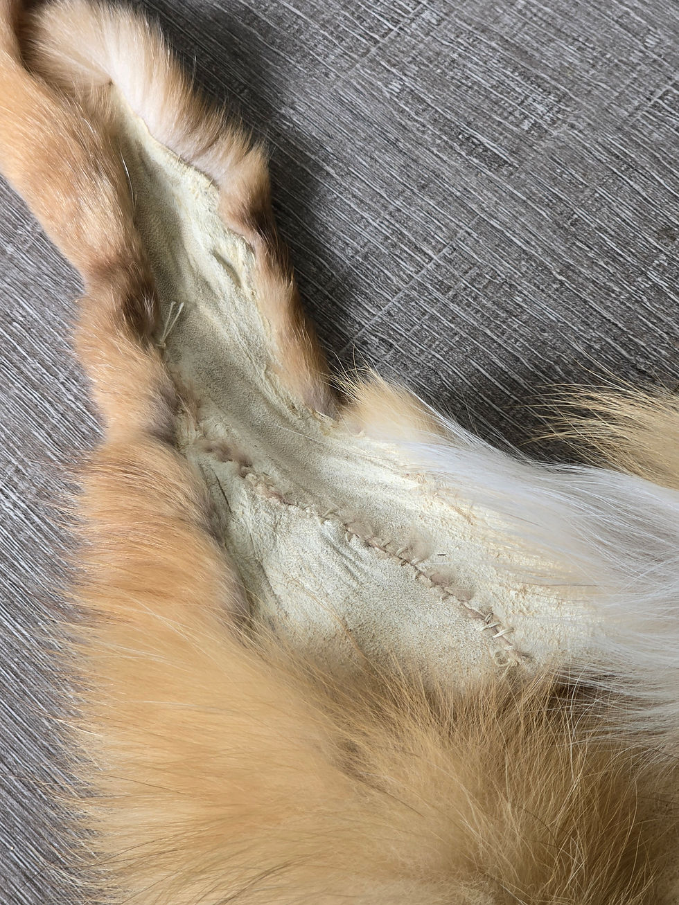 Thumbnail: Burgundy Red 