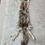 Thumbnail: Coyote