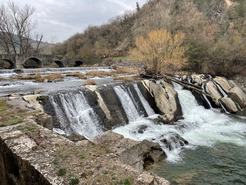 Dia 2 - Inês Peixoto