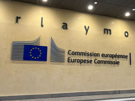 27.02.2026 bélgica filipa rocha