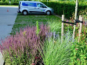 Lift mee op actie Groen ipv Oergrijs!