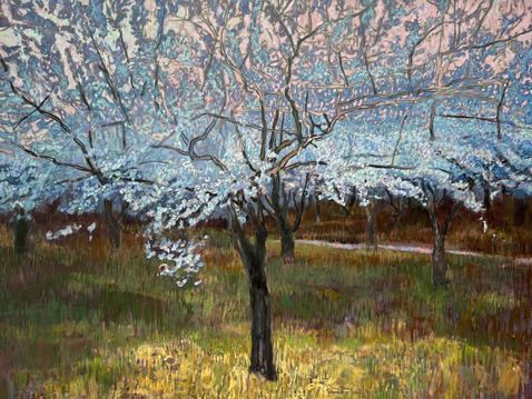 Orchard in Bloom 30 x 40 oil.jpg