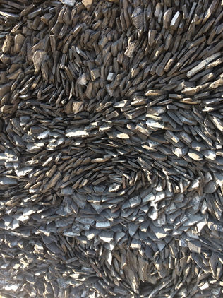 Baker’s Creek 3 of 3.JPG