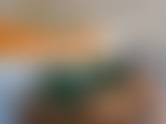 400 Years to Forty Acres