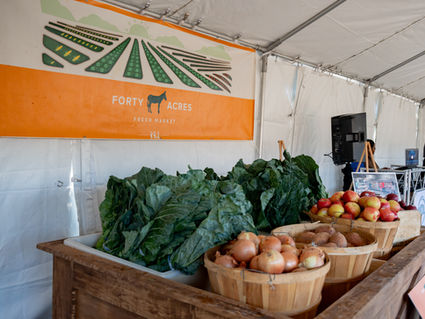 400 Years to Forty Acres