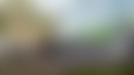 Calling All Construction Workers