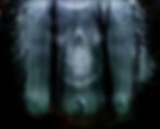 the_grim_reaper_by_furnash_edited.jpg