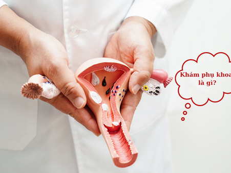Phòng Khám Phụ Khoa Uy Tín Ở Nghệ An