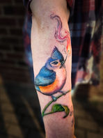 Blue and orange bird tattoo by Ember Seaman