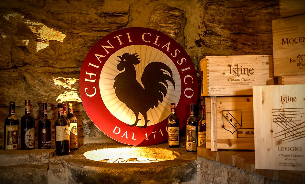 chianti-classico-6_edited.jpg