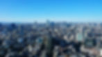 Tokyo skyline, seen from the restaurant floor at Ebisu Garden Tower.