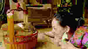 Mikako Ichikawa looks at a cat in a basket, from the movie Rent-a-cat by Naoko Ogigami