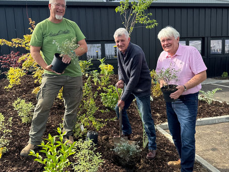 Creating spaces for nature and humans to enjoy