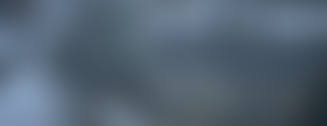 Bringing Ammo to a soldier on guard duty.