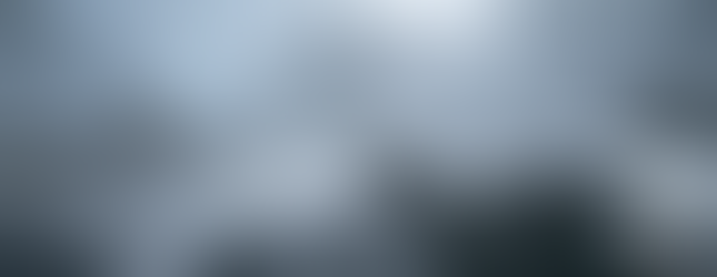 Watching for enemies.