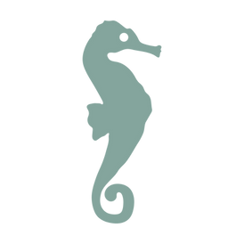 HIPPOCAMPE_edited.png
