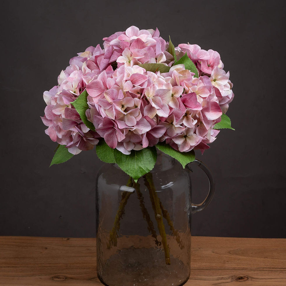 Thumbnail: Shabby Pink Single Hydrangea