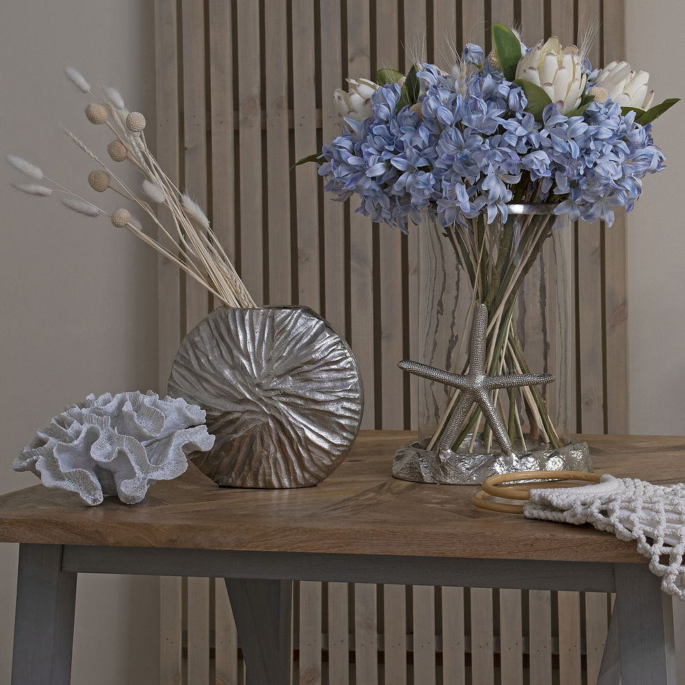 Thumbnail: Light Blue Large Headed Agapanthus