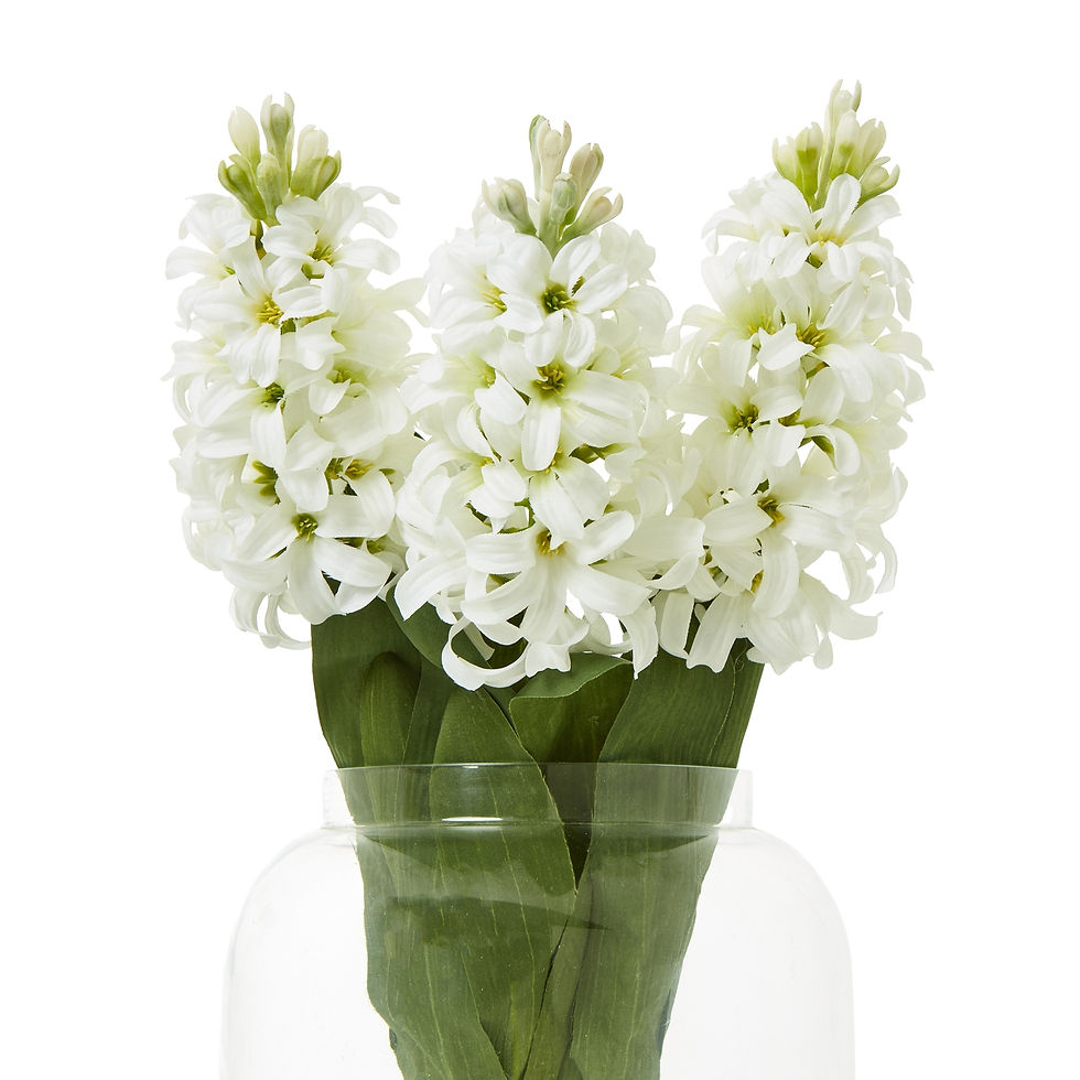 Thumbnail: White Hyacinth Stem