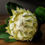 Thumbnail: Large White Protea