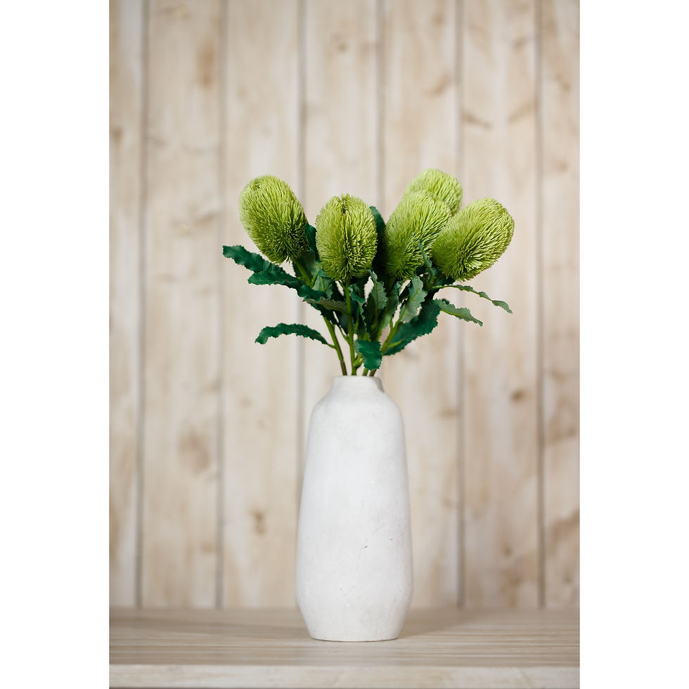 Thumbnail: Large Green Banksia Serrata Stem