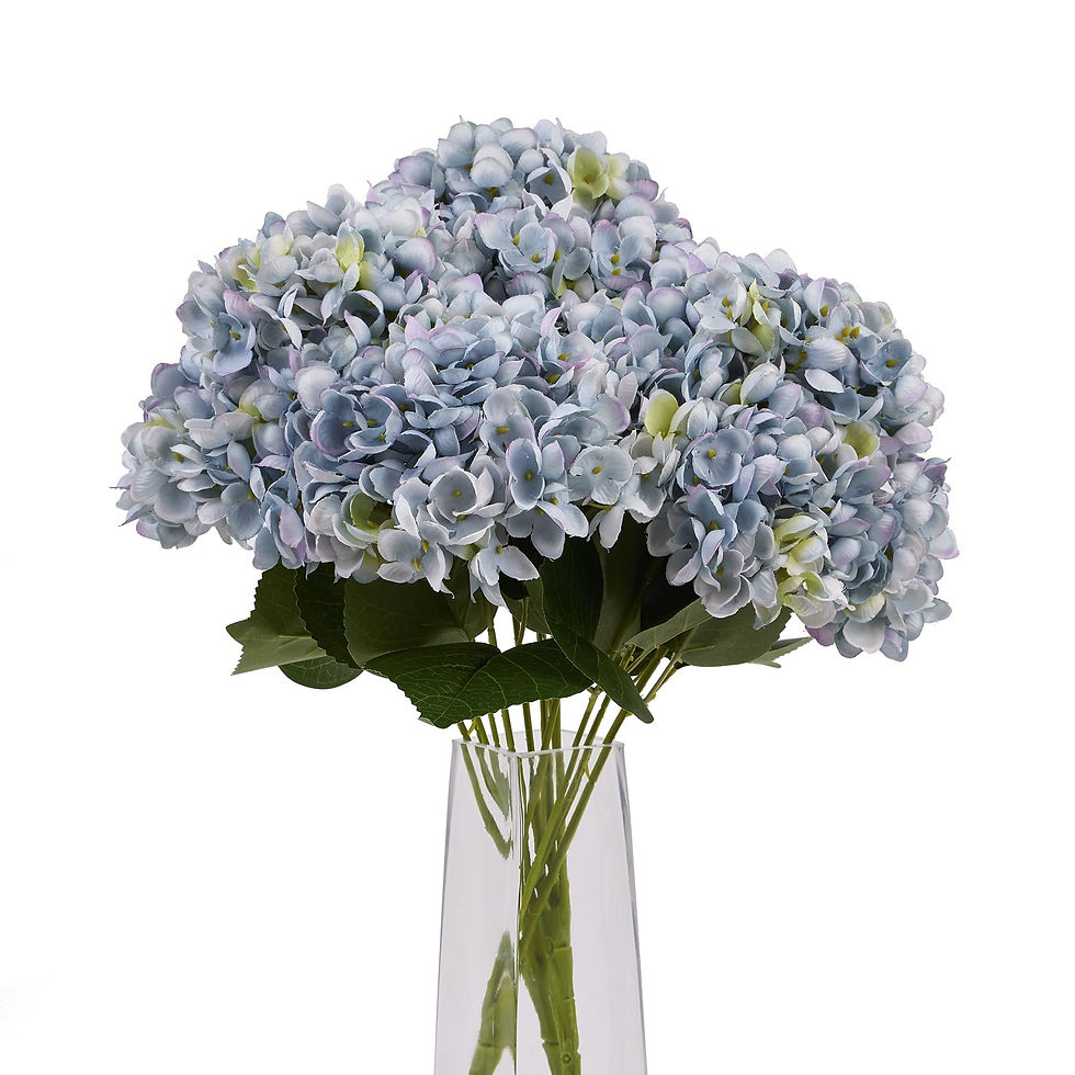 Thumbnail: Blue Hydrangea Bunch