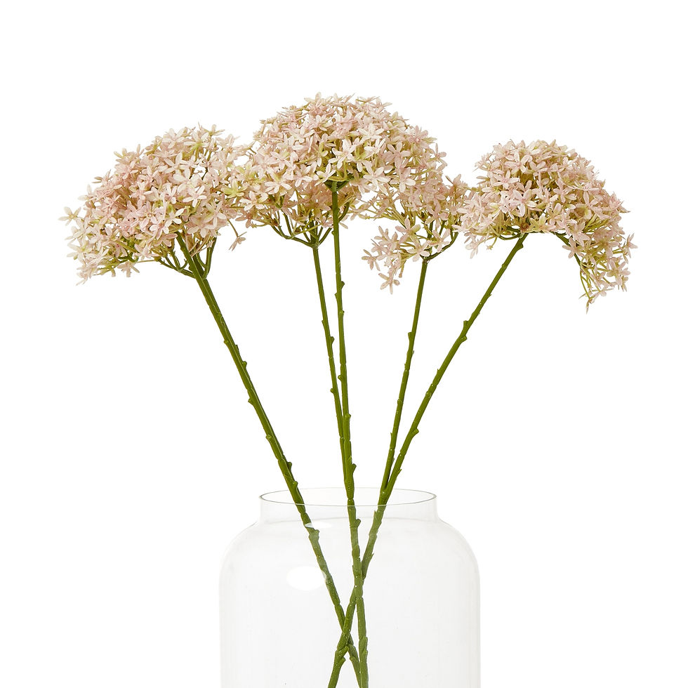 Thumbnail: Pink Crown Hydrangea Stem
