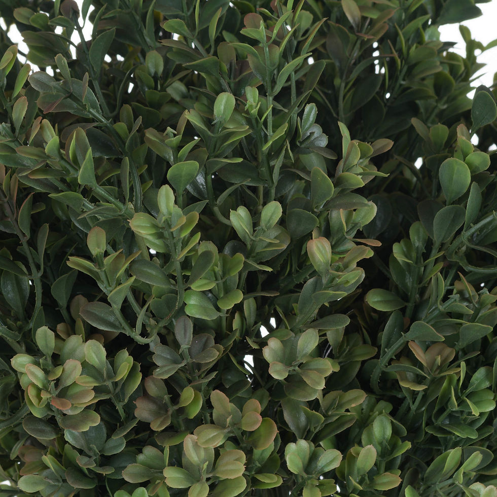 Thumbnail: Red Tipped Leaf Spray