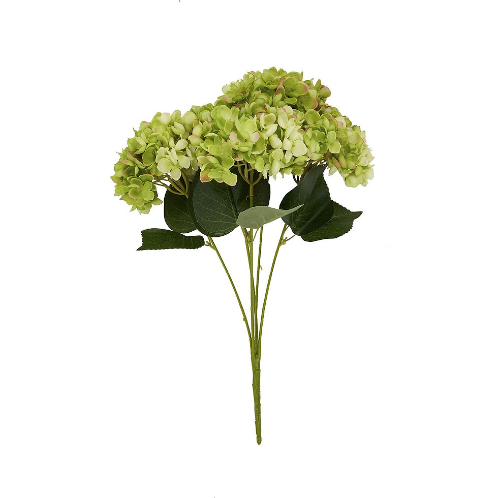 Thumbnail: Green Hydrangea Bunch