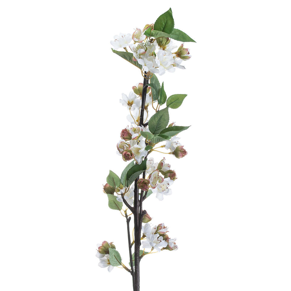 Thumbnail: English Blossom Branch