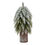 Thumbnail: Small Snowy Fir Tree On Tall Wood Log