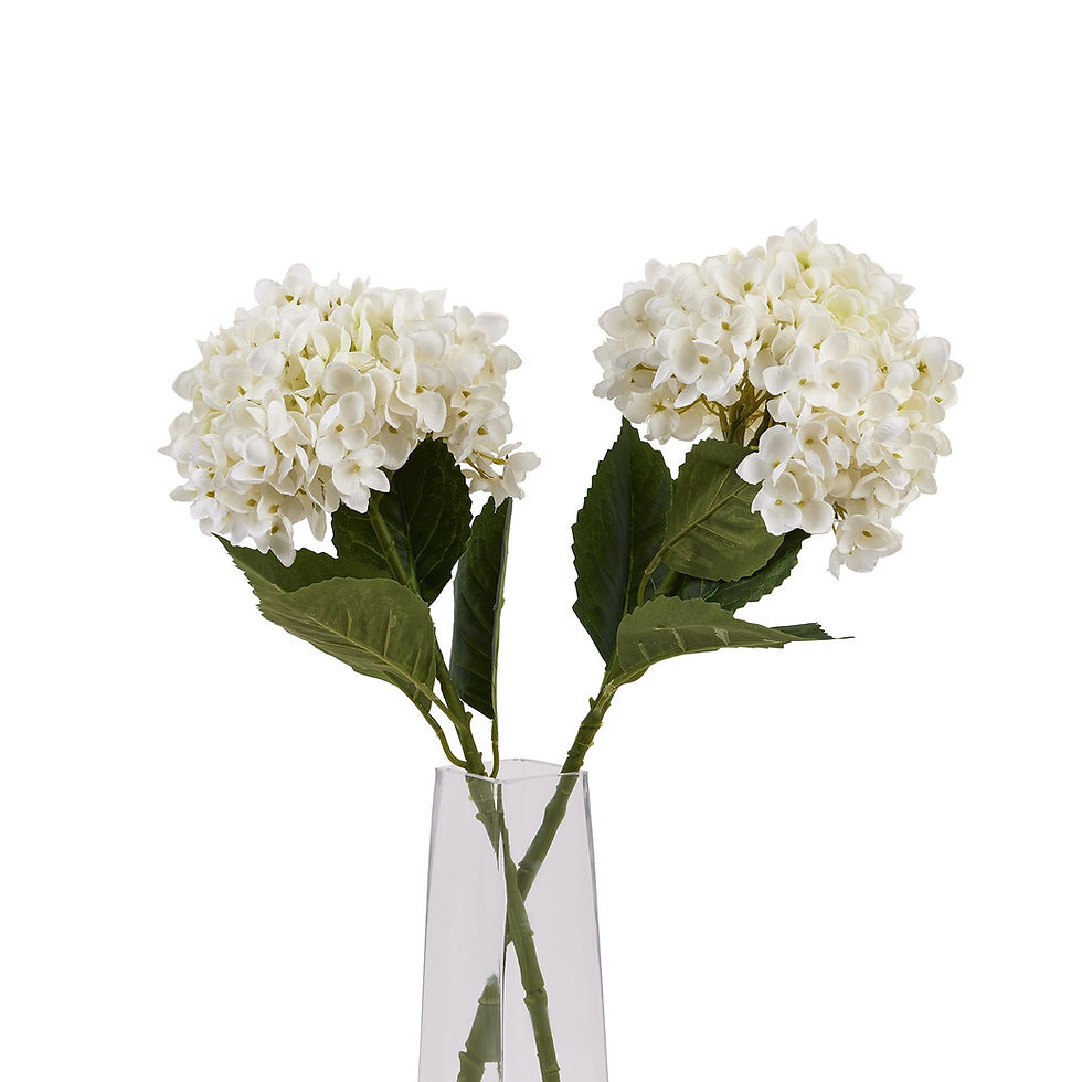 Thumbnail: White Hydrangea Stem
