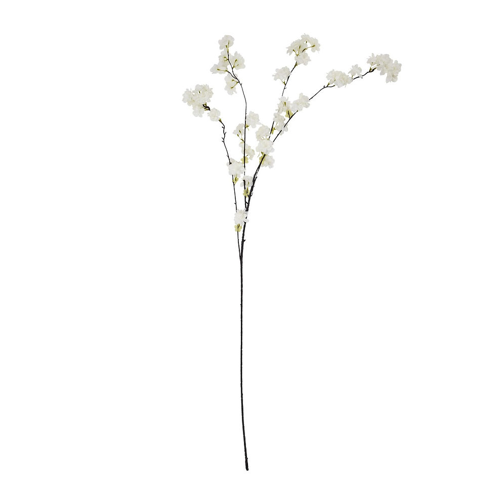 Thumbnail: Large White Cherry Blossom Stem