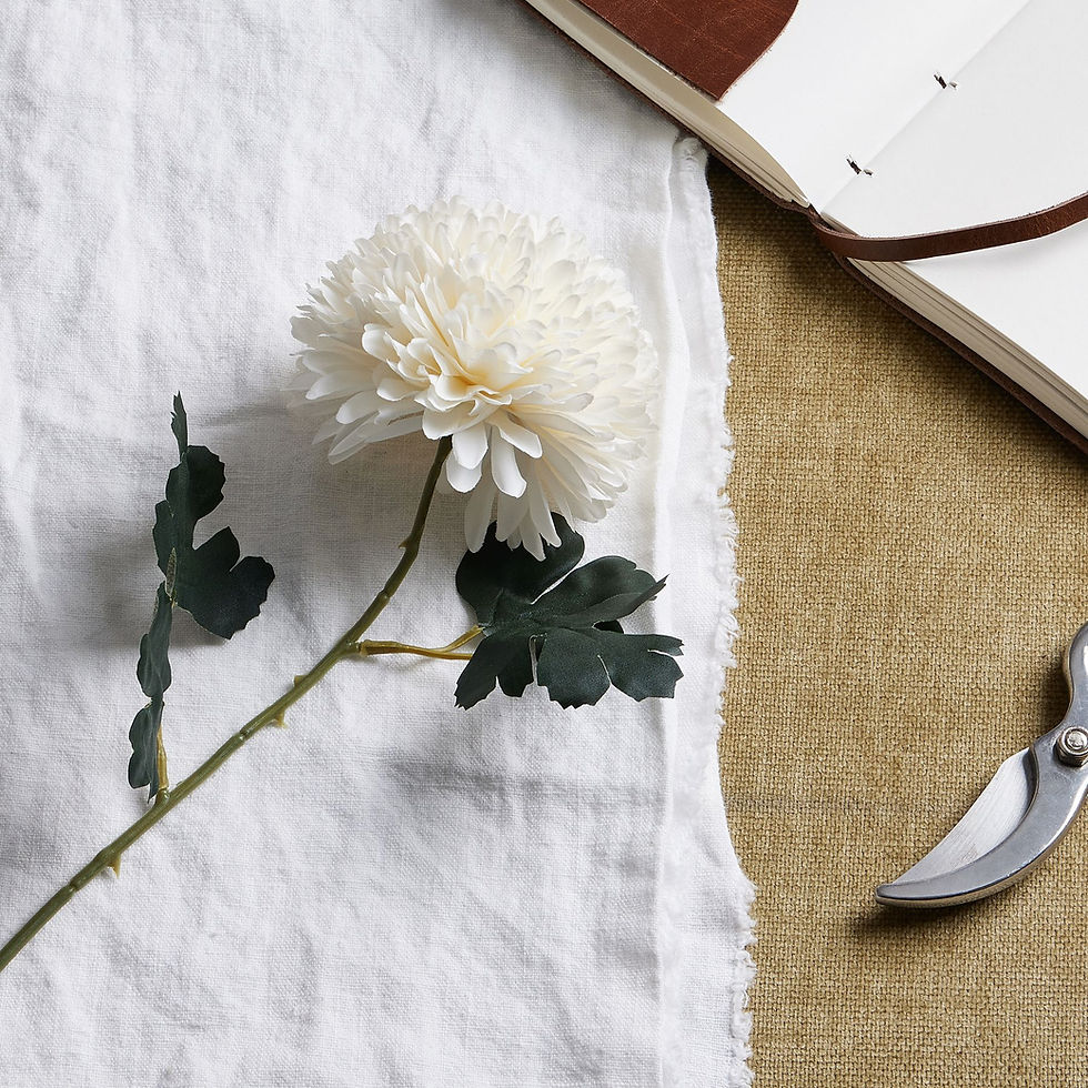 Thumbnail: White Chrysanthemum Stem
