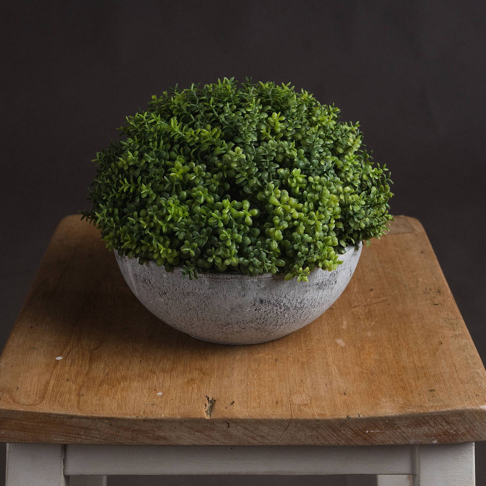 Thumbnail: Small Hebe Globe Pot