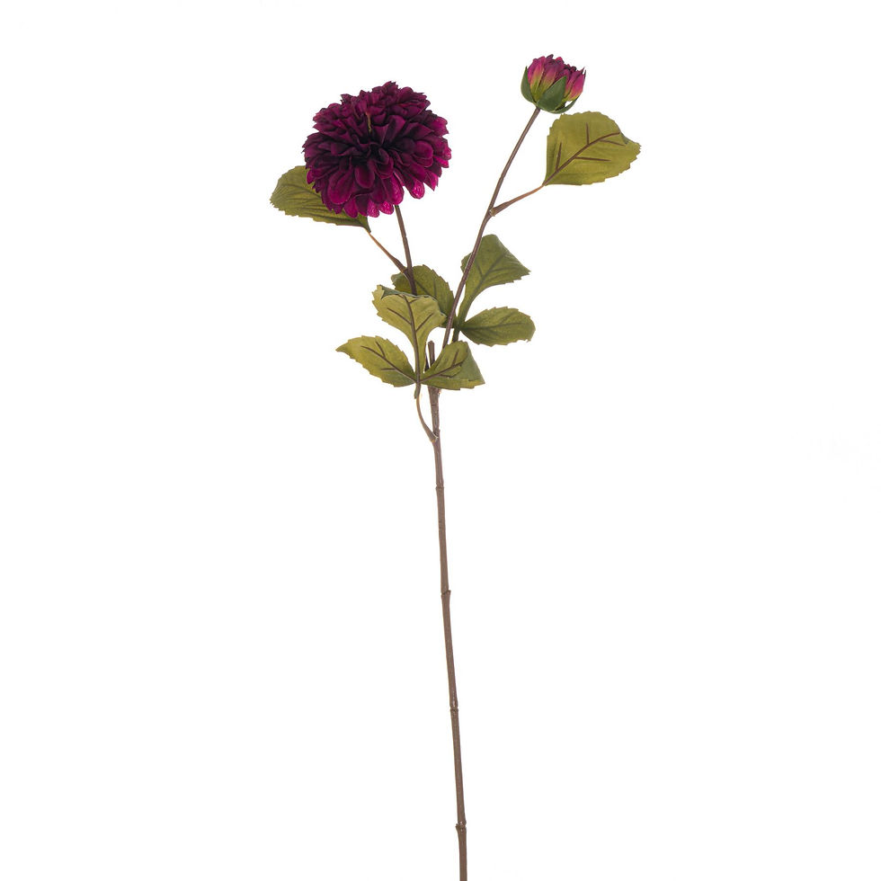 Thumbnail: Deep Purple Dahlia Stem