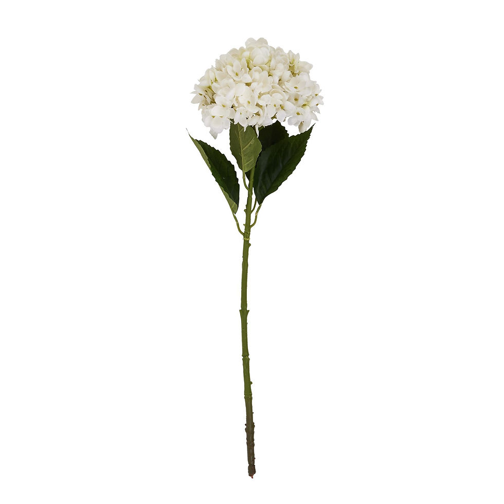 Thumbnail: White Hydrangea Stem