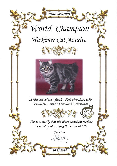 WCH HERKIMER CAT AZURITE (WCF).jpg