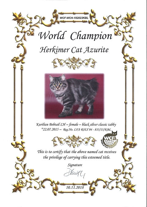 WCH HERKIMER CAT AZURITE (WCF).jpg