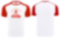 TEE SHIRT MARCHE NORDIQUE ADDICT HOMME MILOS