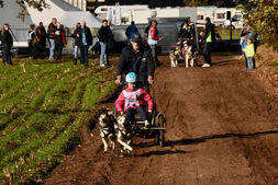 Kivo Kempentrail 2018 Sled dogs