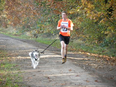 Kivo Kempentrail 2012